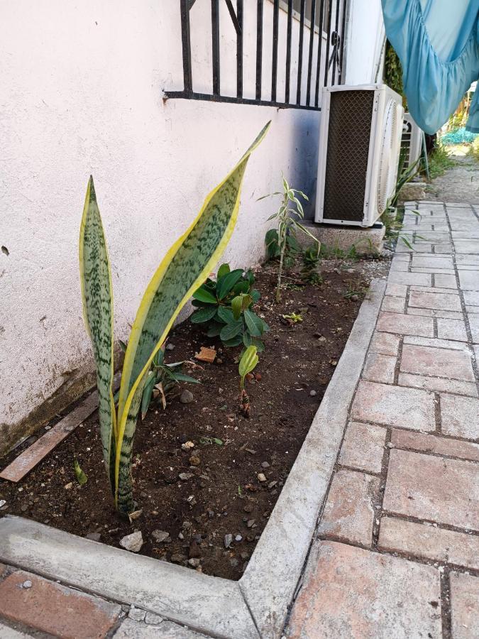 Hostal A 10 Min Del Centro De Veracruz Bagian luar foto